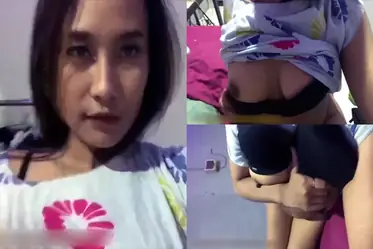 Herradure Pamer Toket Mulus